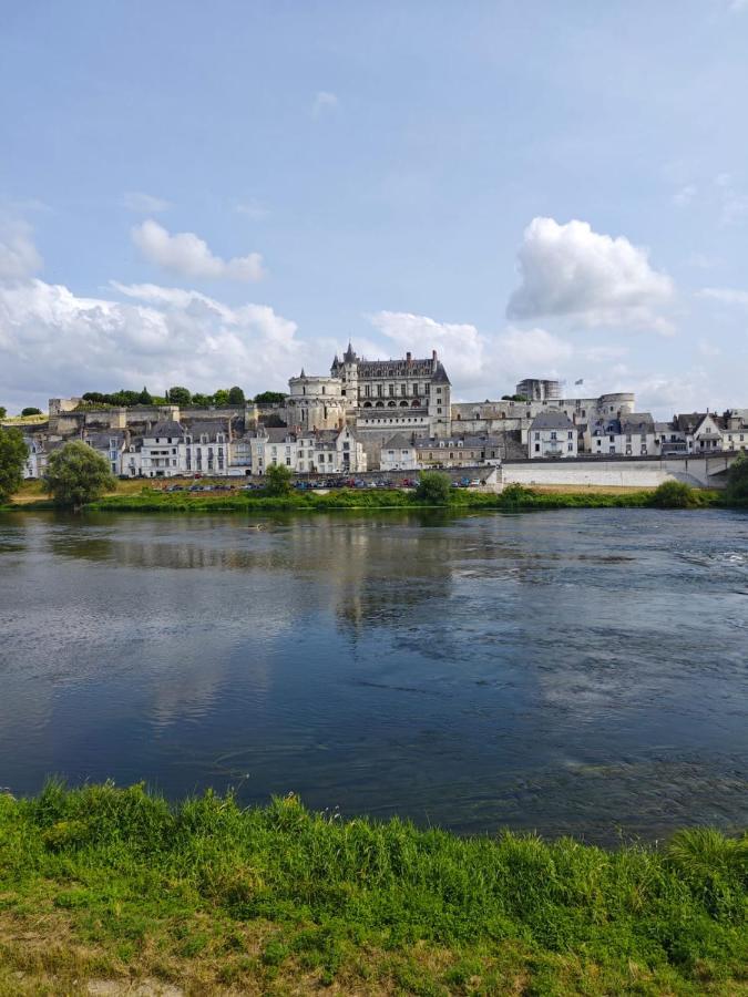 Le Nid De L'Ile Villa Amboise Eksteriør billede